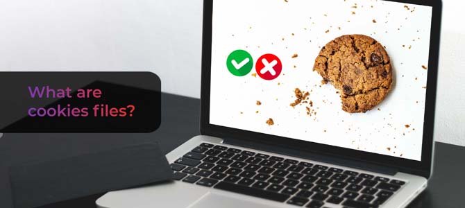 What are cookie files or site caches?